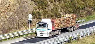 Transporte forestal